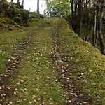 Bregnehytte *