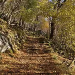 펜션 Bregnehytte Leikanger (More og Romsdal)
