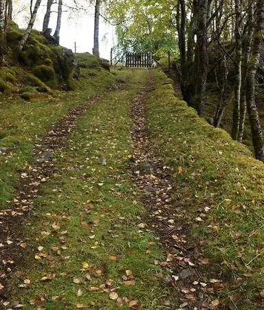 Bregnehytte *
