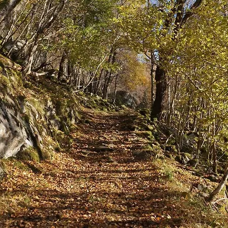 Semesterbostad Bregnehytte Leikanger (More og Romsdal)