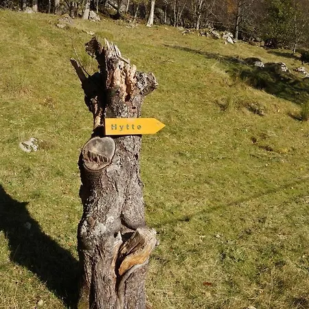 Bregnehytte Holiday home