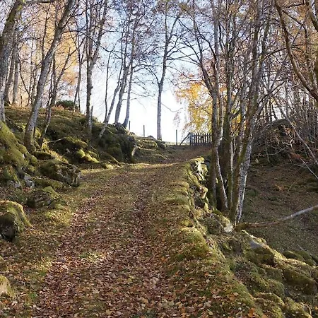 Bregnehytte Semesterbostad *