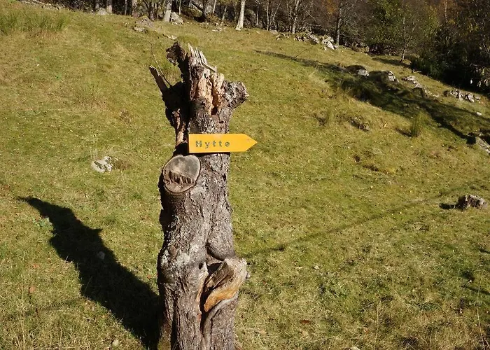 Bregnehytte Feriehus