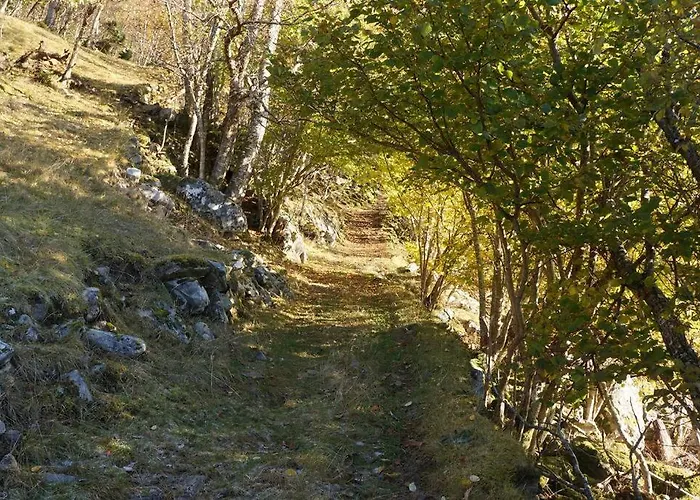 Bregnehytte Casa de Férias *