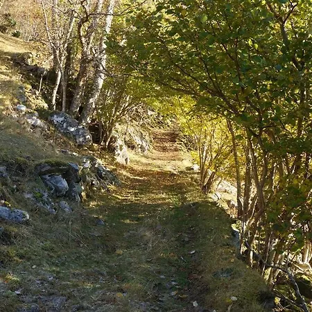Bregnehytte Casa vacanze *
